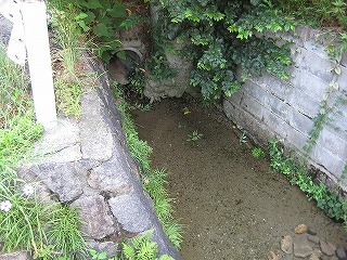 住宅街の湧き水