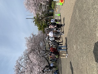 さくらまつり