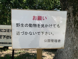 葵祭