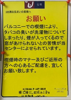 掲示板