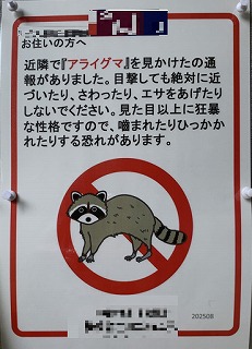 掲示板