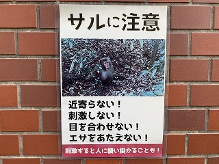 サルに注意